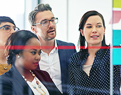 Diverse group of team members examining a project plan